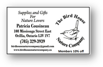 The Bird House