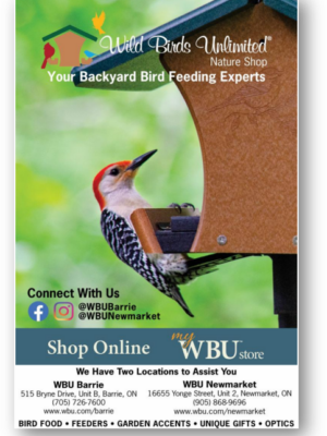 Wild Birds Unlimited